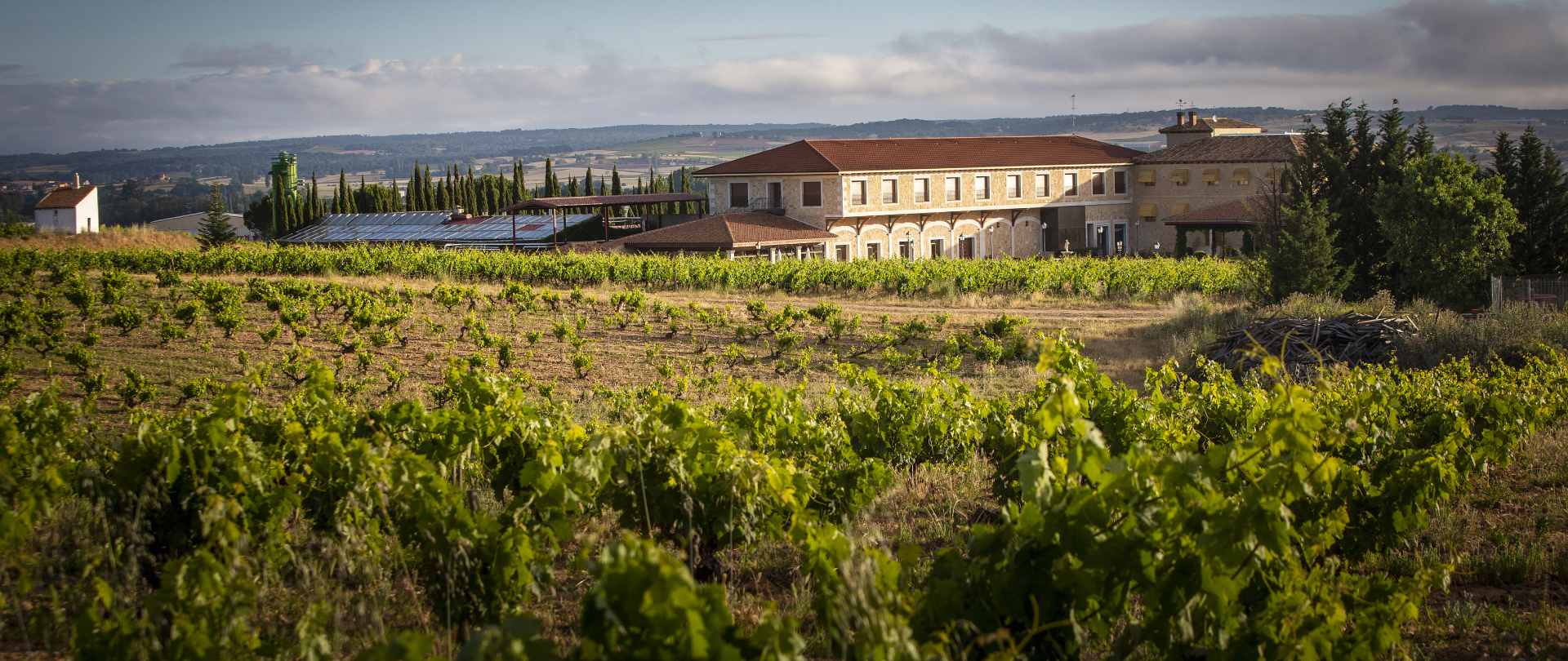 Hotel Bodega en Ribera del Duero Torremilanos