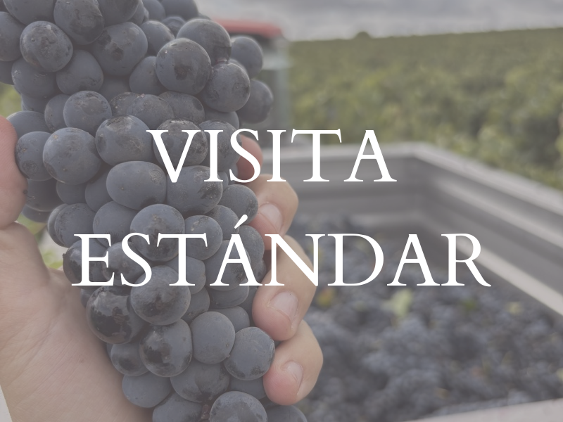 enoturismo ribera del duero visita estandar