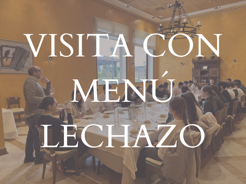 visita ribera del duero visita lechazo