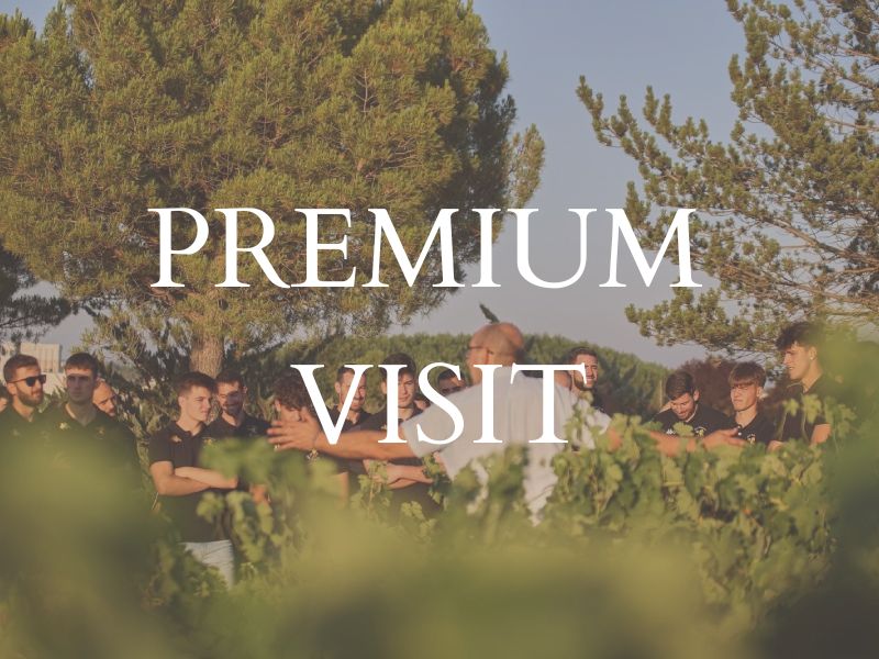 enoturismo ribera del duero visita premium